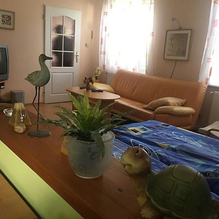Desná U Evy Jarosove 아파트 외부 사진